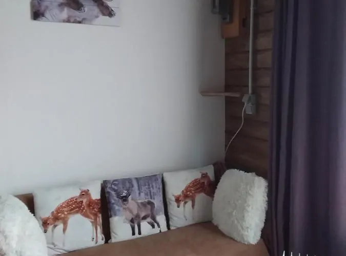 Romann 2 Xonrupt-Longemer